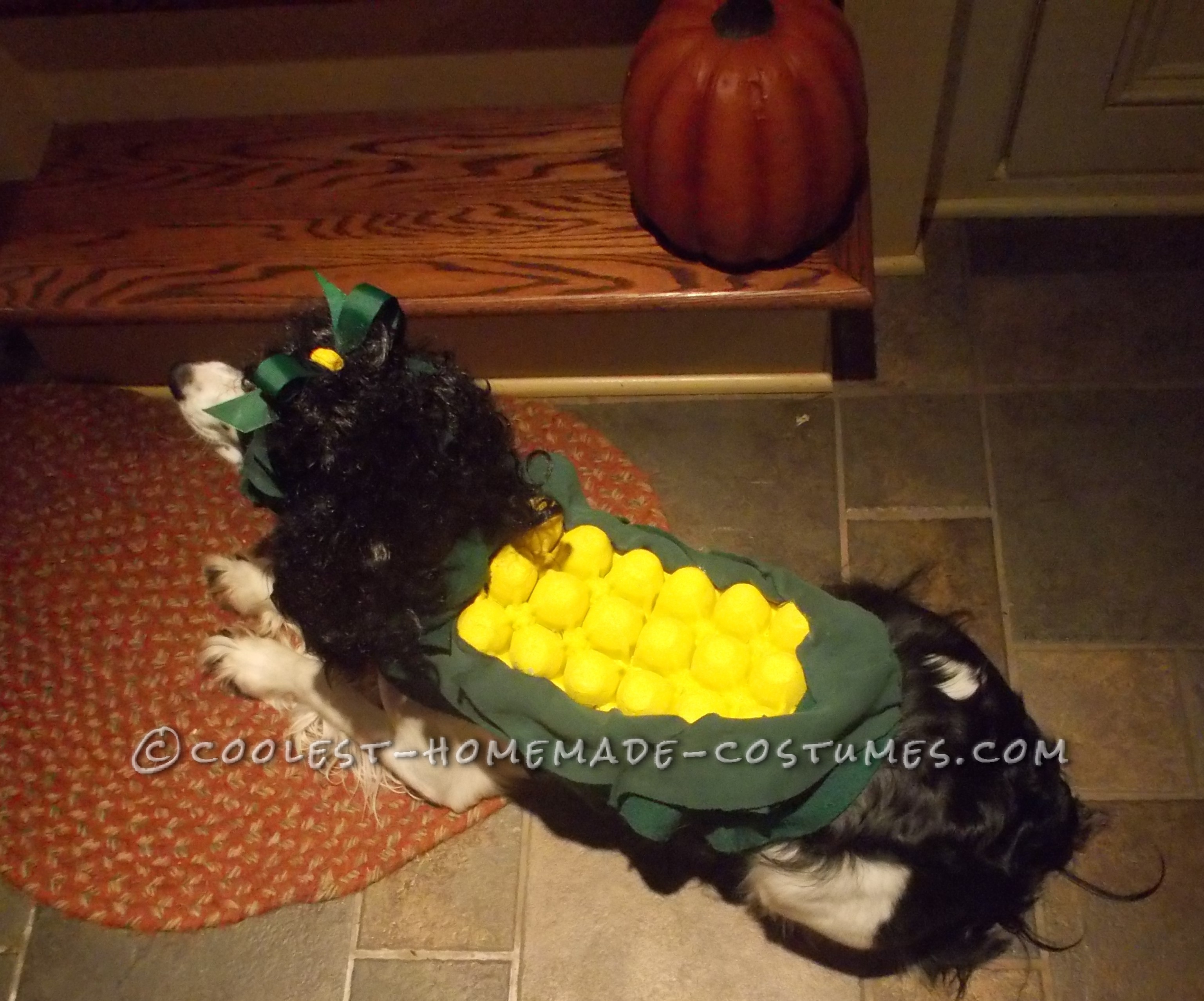 Sweet Cob of Corn Costume for a Dog