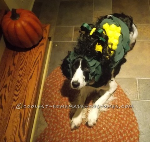 Sweet Cob of Corn Costume for a Dog