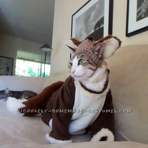 Cool Costume for My Cat: Pecan the Fox