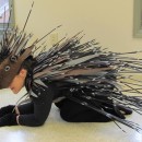 Cool Homemade Porcupine Costume