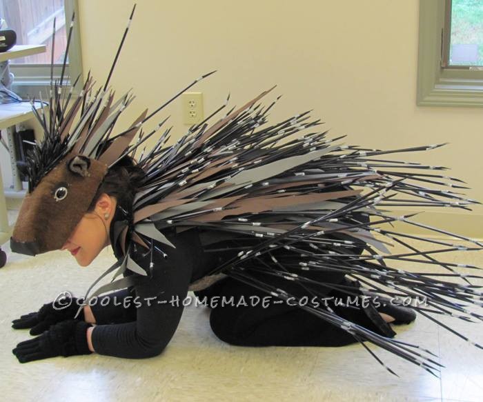 Cool Homemade Porcupine Costume