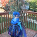 Pretty Little Peacock Costume for a Girl