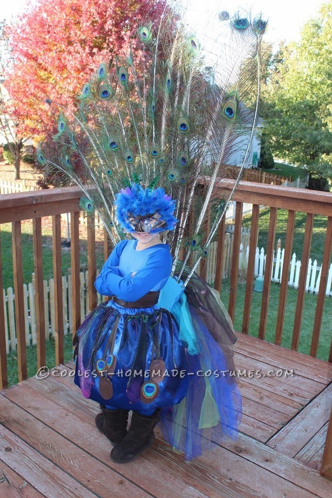 Pretty Little Peacock Costume for a Girl