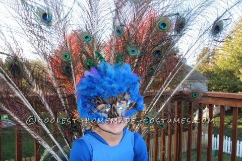 Pretty Little Peacock Costume for a Girl