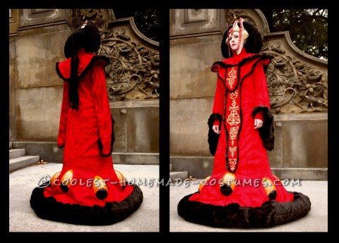 Awesome Handmade Queen Amidala Halloween Costume