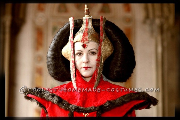 Awesome Handmade Queen Amidala Halloween Costume