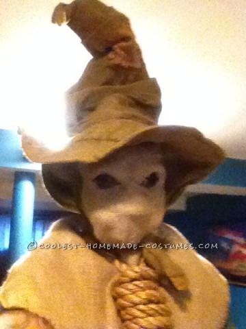 Scary Scarecrow Costume