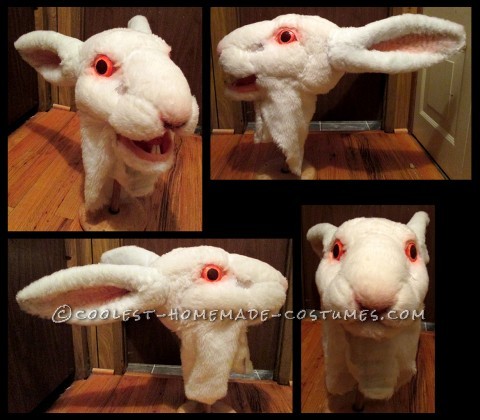Scary White Rabbit Costume Made from Scratch