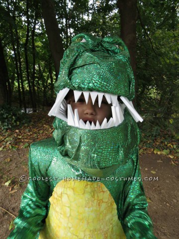 Shiny T-Rex Costume for a Dinosaur-Obsessed 6-Year-Old Girl