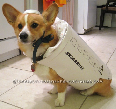 Starbucks Dog Costume - Easy and Inexpensive