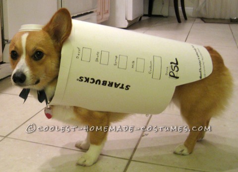 Starbucks Dog Costume - Easy and Inexpensive