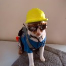 The Coolest Construction Worker Costume Ever (for a Cat!)