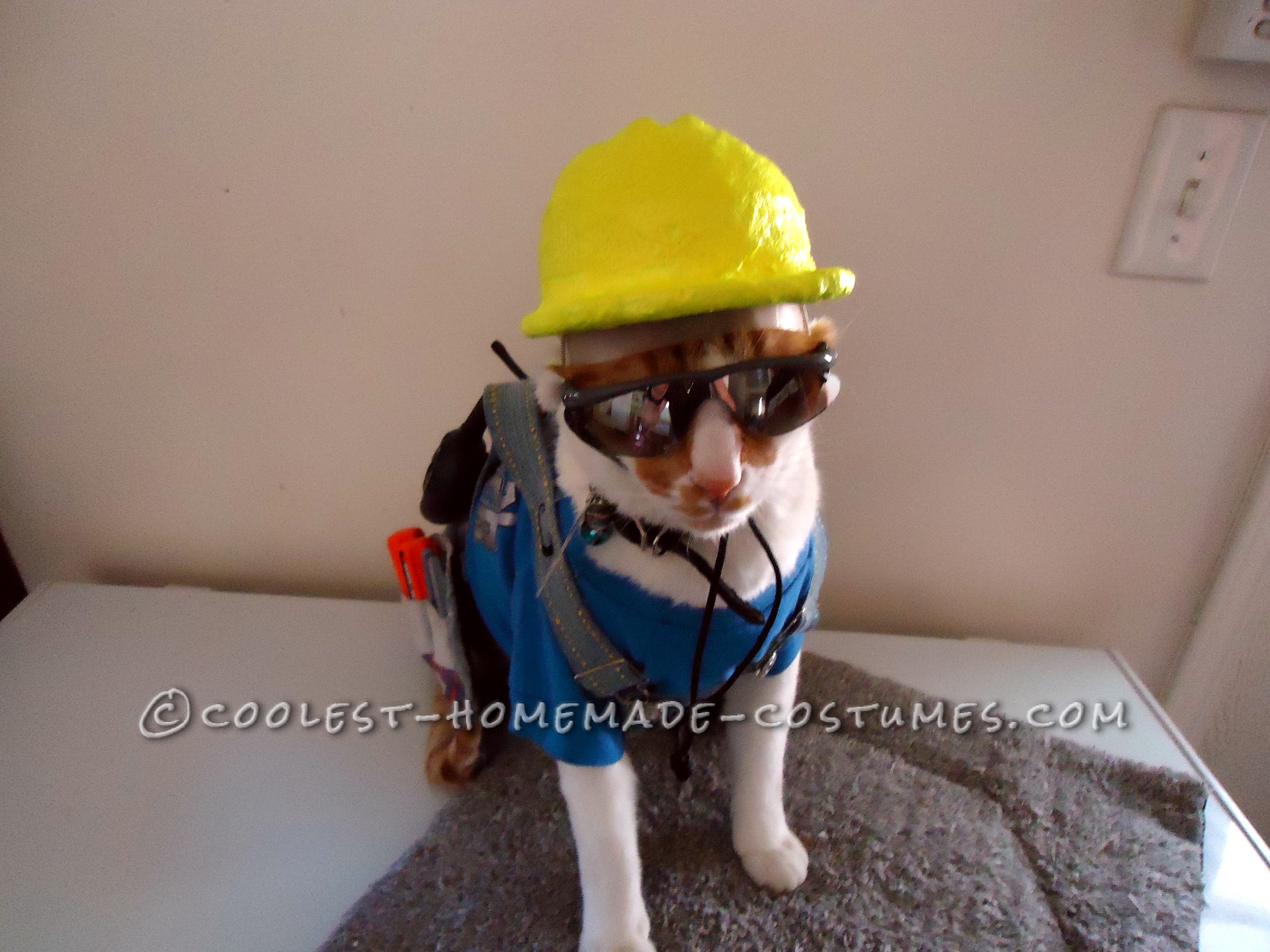 The Coolest Construction Worker Costume Ever (for a Cat!)