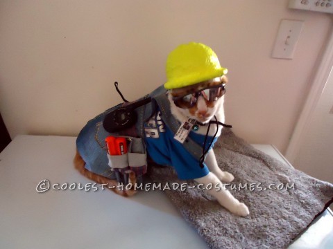 The Coolest Construction Worker Costume Ever (for a Cat!)