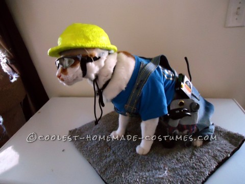 The Coolest Construction Worker Costume Ever (for a Cat!)