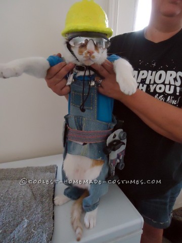 The Coolest Construction Worker Costume Ever (for a Cat!)