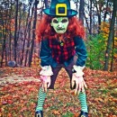 Coolest Homemade Leprechaun Child Costume