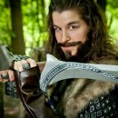 Homemade Thorin Oakenshield Costume: Is it Male or Female? You Decide!