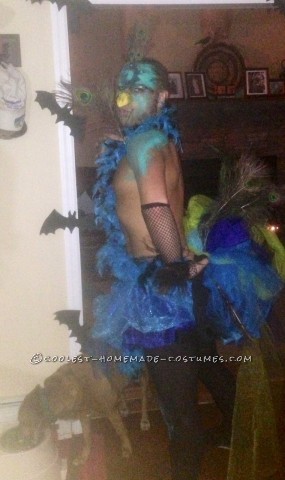 Last Minute Homemade Peacock Costume for a Man