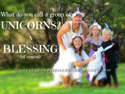 What A Blessing! Group of Unicorns Family Homemade Costume