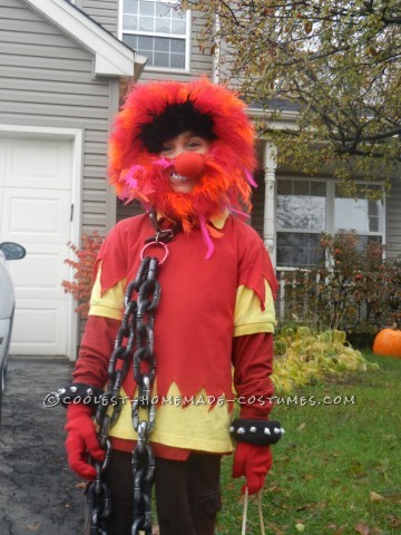 Family Muppet Costumes