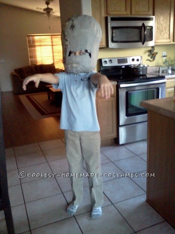 Coolest Homemade Plants Vs. Zombies Costume