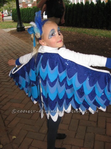 Little Chicken and Blue Bird Costumes for Brother and Sister