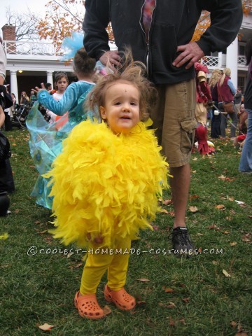 Little Chicken and Blue Bird Costumes for Brother and Sister