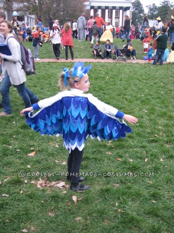 Little Chicken and Blue Bird Costumes for Brother and Sister