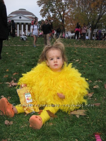 Little Chicken and Blue Bird Costumes for Brother and Sister