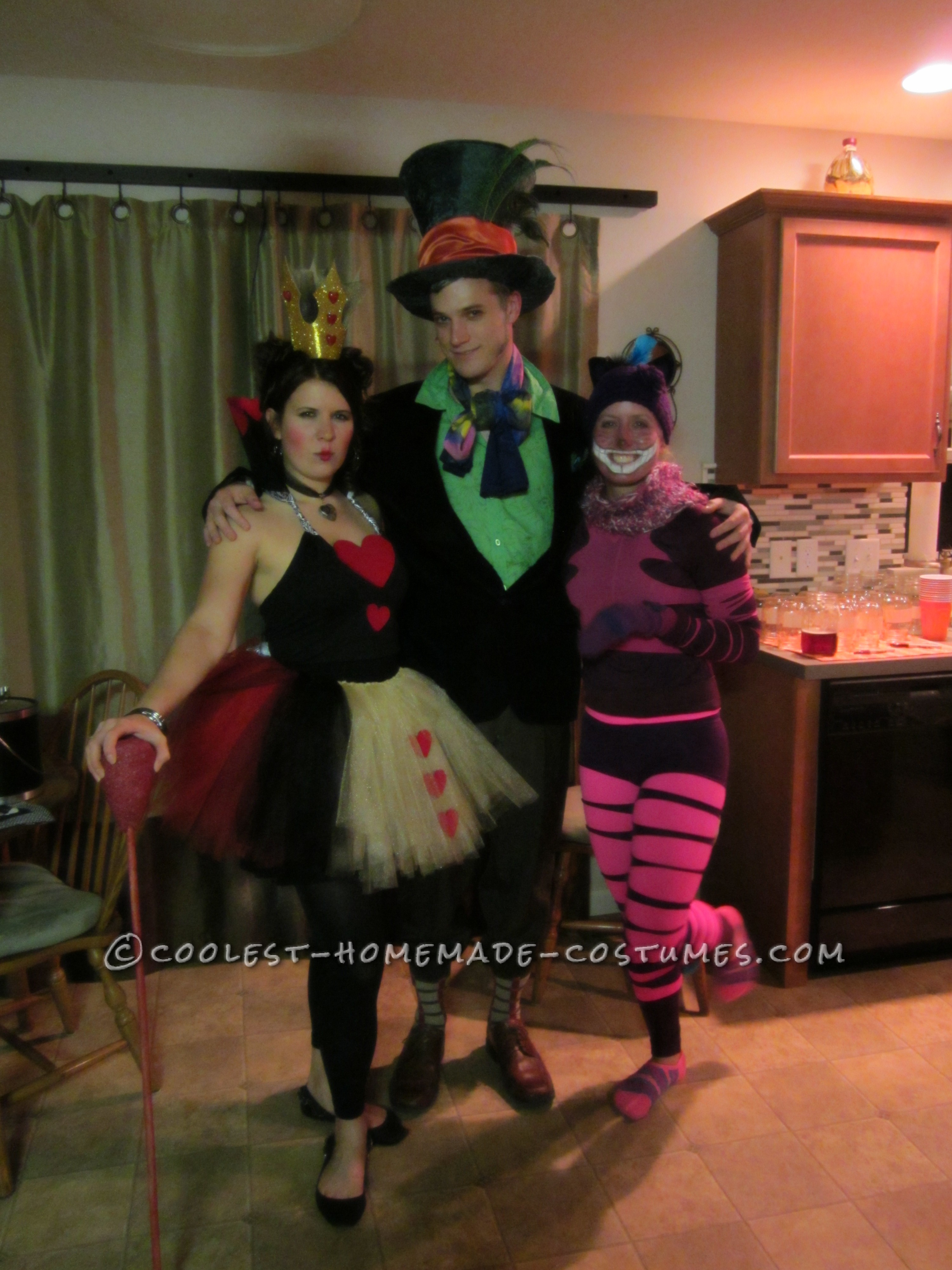 Awesome Homemade Adventure in Wonderland Group Costumes