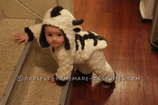 Flying Baby Appa Sky Bison Costume from Avatar: The Last Airbender