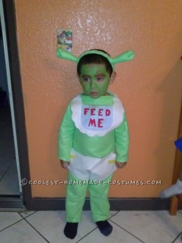 Gingy Cookie and Shrek Costumes