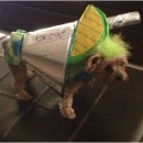 Barkarita Dog Costume