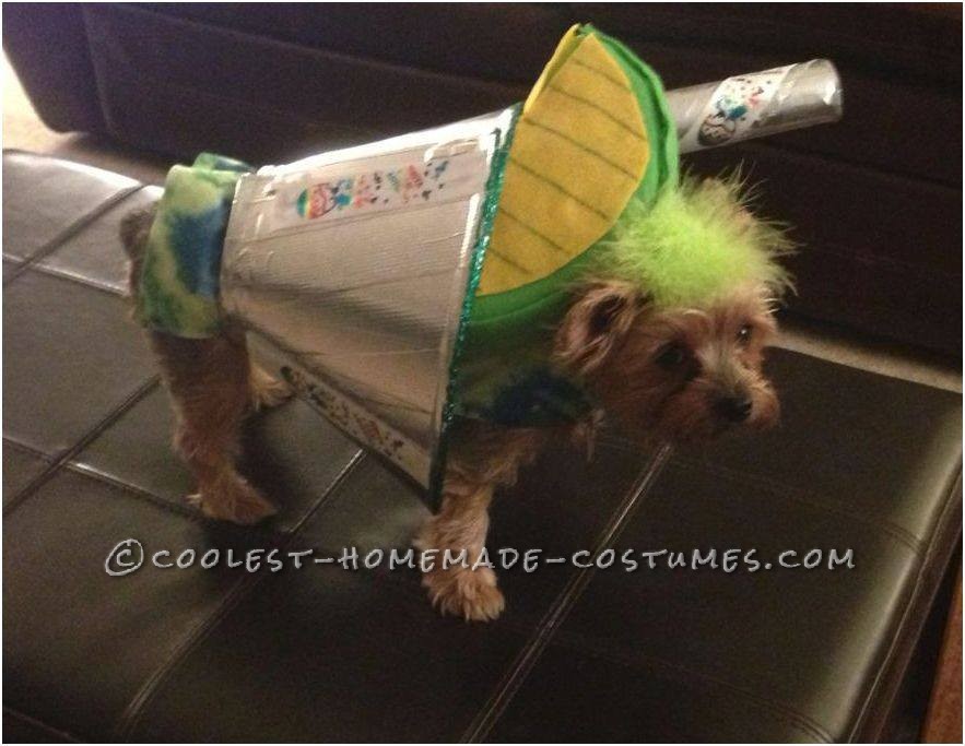 diy dog cone costume