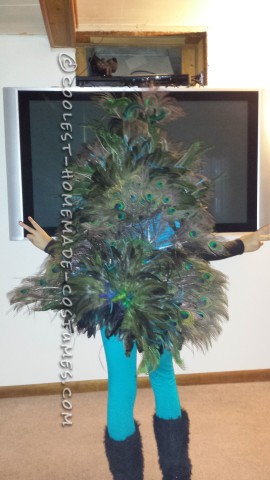 Beautiful Homeamde Peacock Costume for a Girl