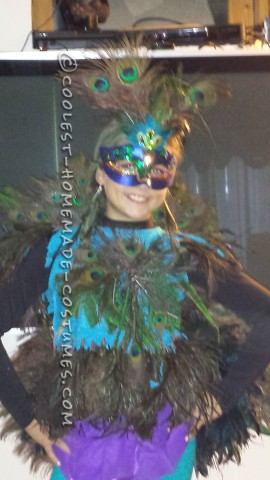 Beautiful Homeamde Peacock Costume for a Girl