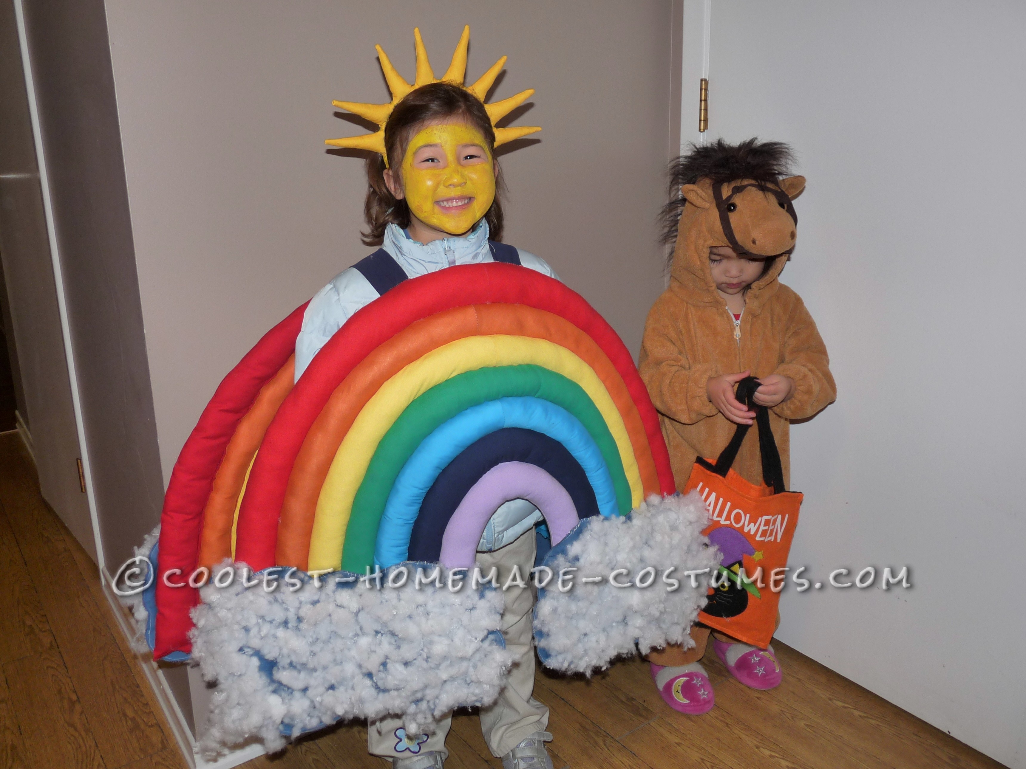 Beautiful Homemade Rainbow Costume