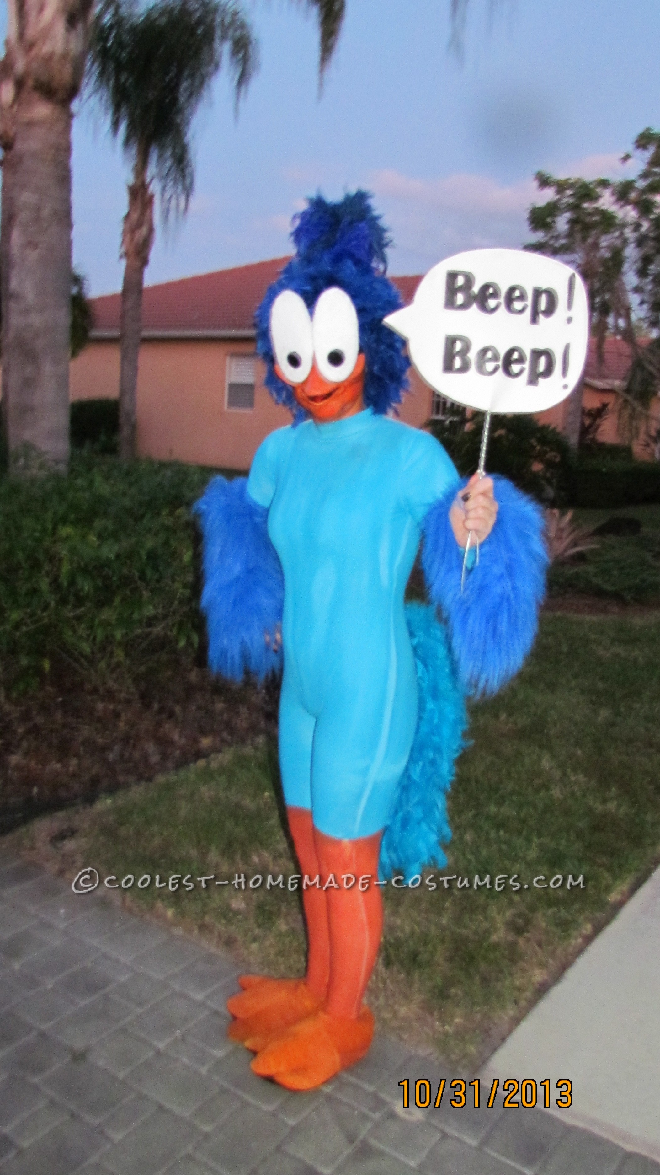 Coolest Roadrunner Costume