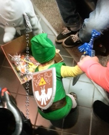 Best Baby Link Costume for a Toddler