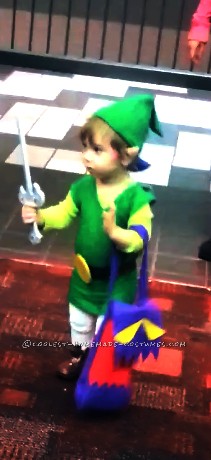 Best Baby Link Costume for a Toddler