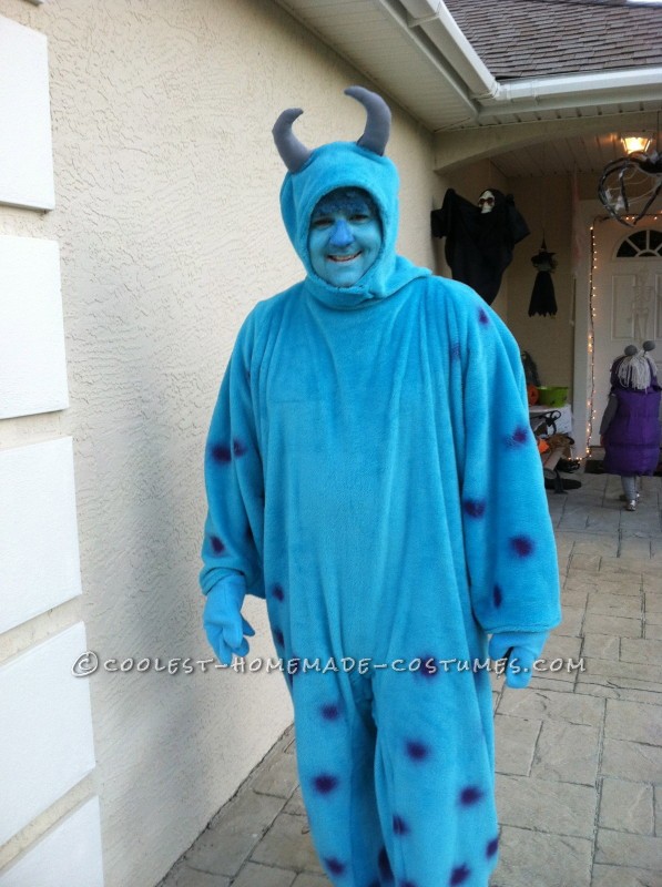 Sully Costume