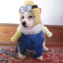Bonnie's Crazy Minion Dog Costume
