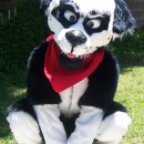 Cool Homemade Border Collie Dog Costume