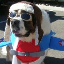 Saint Bernard Dog Costume: Captain America to the Rescue!