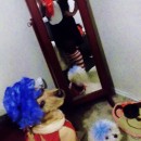 Woman's Cat in the Hat Costume with Pet Dogs Thing 1 Thing 2