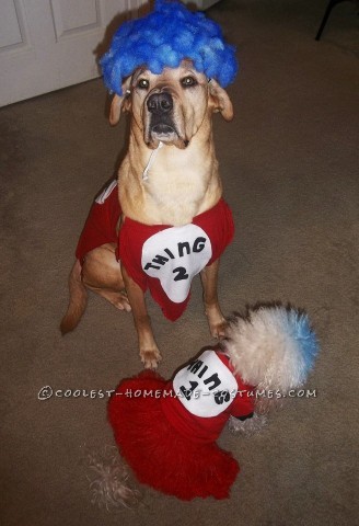 Woman's Cat in the Hat Costume with Pet Dogs Thing 1 Thing 2