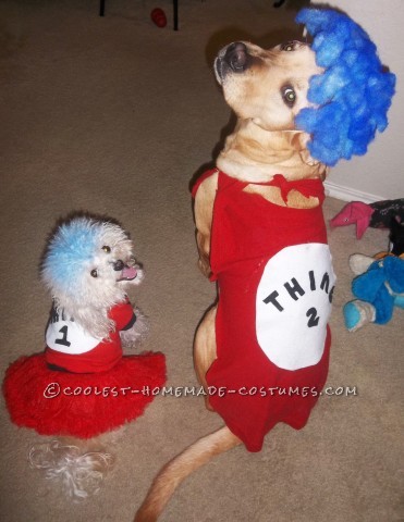 Woman's Cat in the Hat Costume with Pet Dogs Thing 1 Thing 2