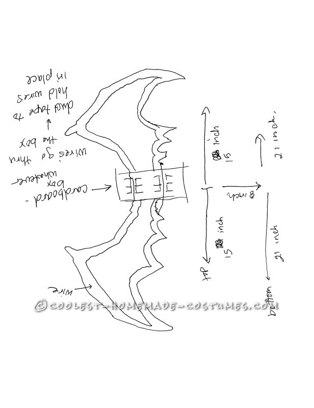 Sketch of wings