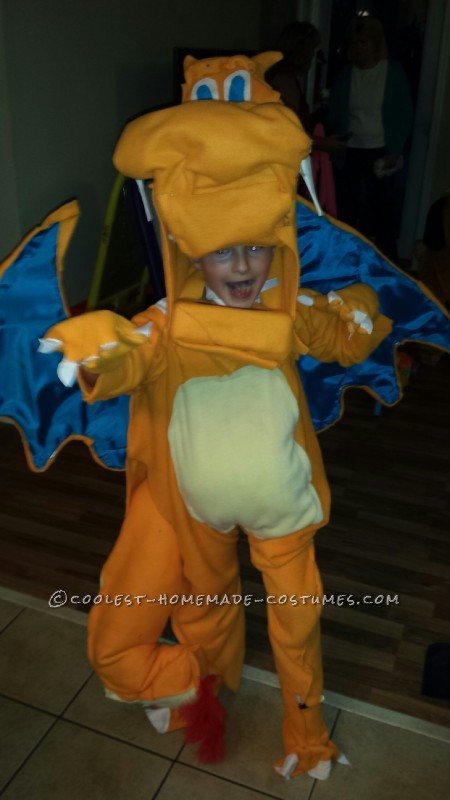 Charizard Costume